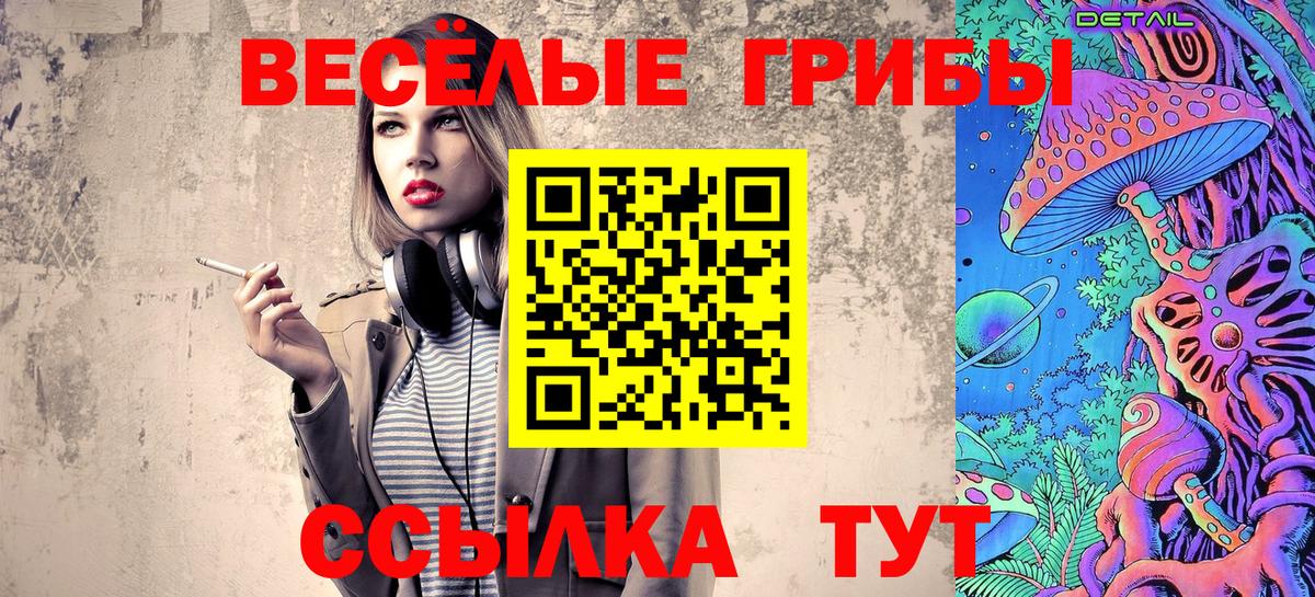 Псилоцибиновые грибы мицелий Троицк