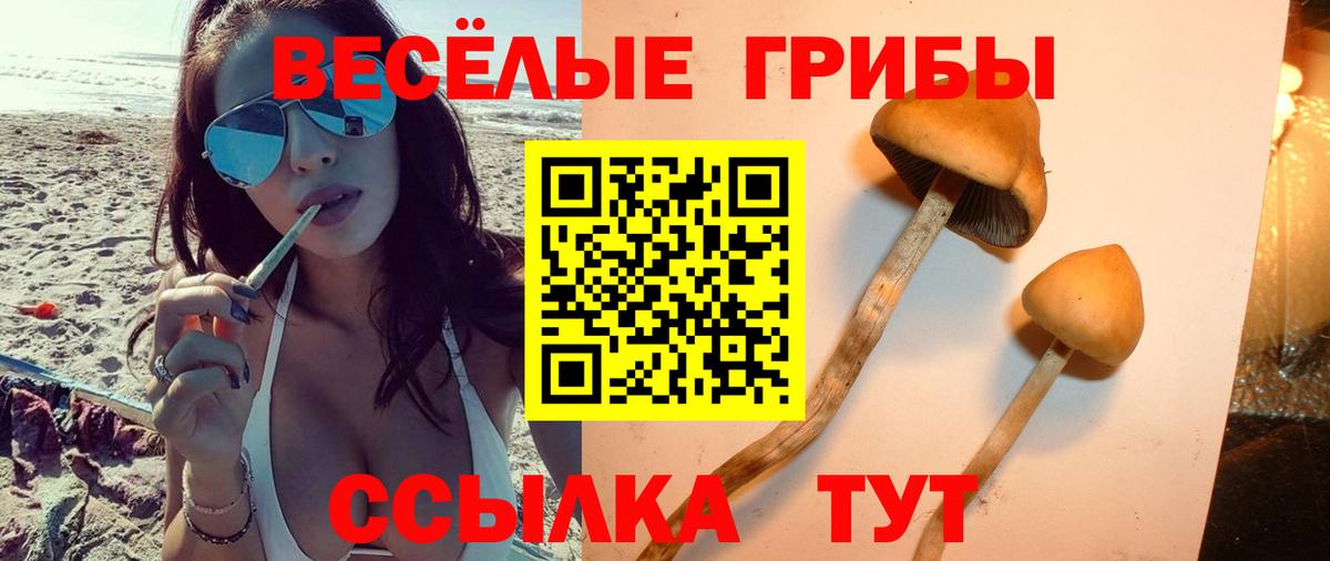 Троицк  Псилоцибиновые грибы GOLDEN TEACHER  где купить наркоту  Вход с VPN 